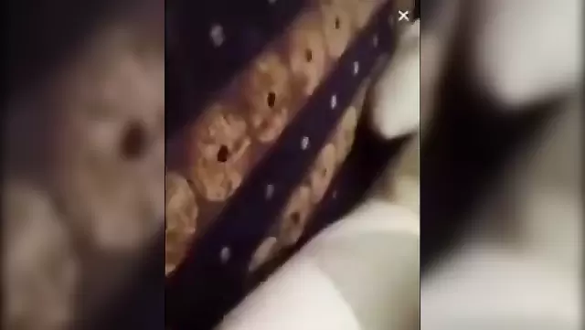 Real sex with Turkish neighbors